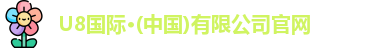 U8国际
